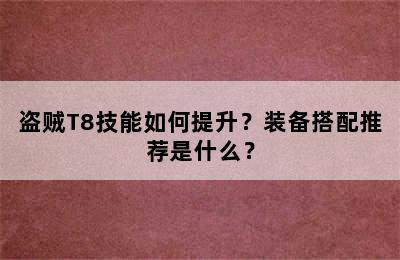 盗贼T8技能如何提升？装备搭配推荐是什么？