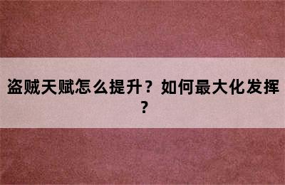 盗贼天赋怎么提升？如何最大化发挥？