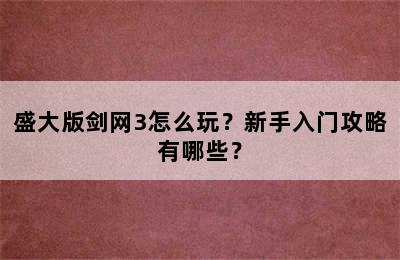 盛大版剑网3怎么玩？新手入门攻略有哪些？