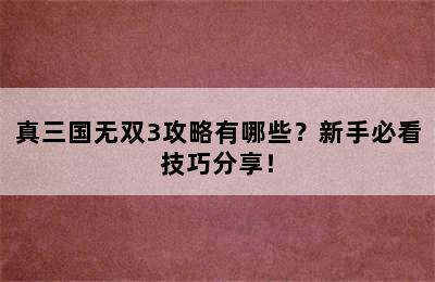 真三国无双3攻略有哪些？新手必看技巧分享！