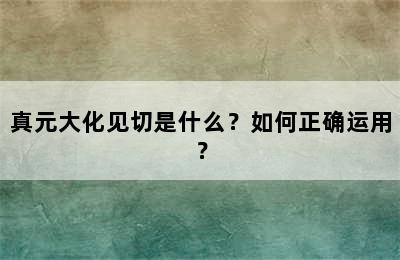 真元大化见切是什么？如何正确运用？