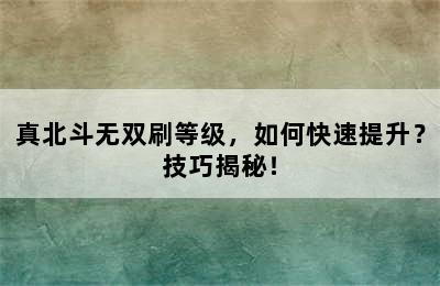 真北斗无双刷等级，如何快速提升？技巧揭秘！