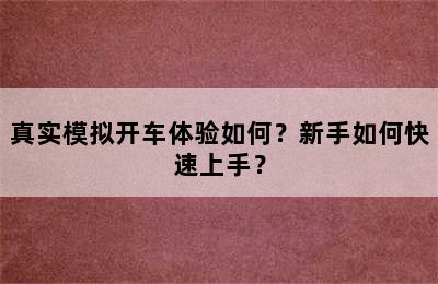 真实模拟开车体验如何？新手如何快速上手？