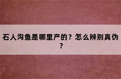 石人沟鱼是哪里产的？怎么辨别真伪？