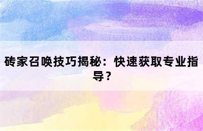 砖家召唤技巧揭秘：快速获取专业指导？