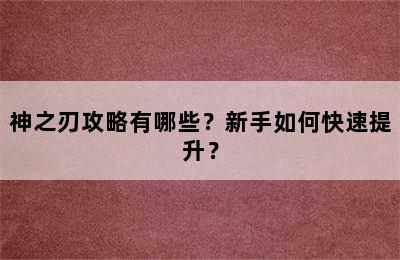 神之刃攻略有哪些？新手如何快速提升？