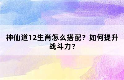 神仙道12生肖怎么搭配？如何提升战斗力？