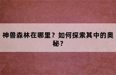 神兽森林在哪里？如何探索其中的奥秘？