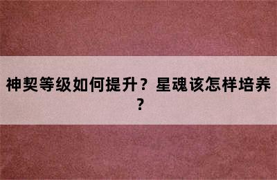 神契等级如何提升？星魂该怎样培养？