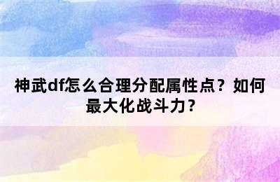 神武df怎么合理分配属性点？如何最大化战斗力？