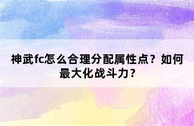 神武fc怎么合理分配属性点？如何最大化战斗力？