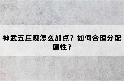 神武五庄观怎么加点？如何合理分配属性？