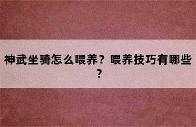 神武坐骑怎么喂养？喂养技巧有哪些？