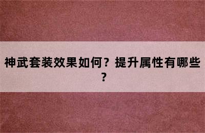 神武套装效果如何？提升属性有哪些？