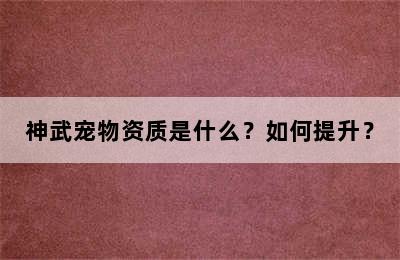 神武宠物资质是什么？如何提升？