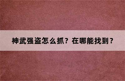 神武强盗怎么抓？在哪能找到？