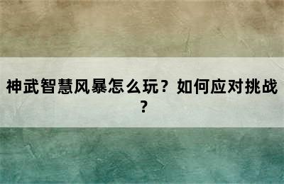 神武智慧风暴怎么玩？如何应对挑战？