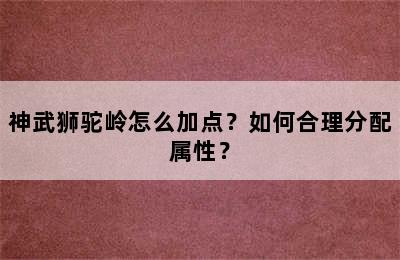 神武狮驼岭怎么加点？如何合理分配属性？