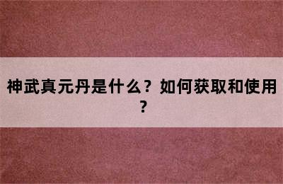 神武真元丹是什么？如何获取和使用？