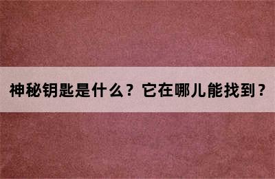 神秘钥匙是什么？它在哪儿能找到？