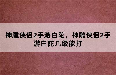 神雕侠侣2手游白陀，神雕侠侣2手游白陀几级能打