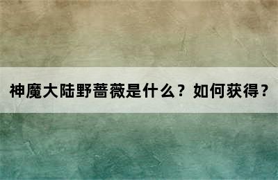 神魔大陆野蔷薇是什么？如何获得？