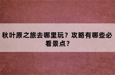 秋叶原之旅去哪里玩？攻略有哪些必看景点？