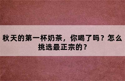 秋天的第一杯奶茶，你喝了吗？怎么挑选最正宗的？