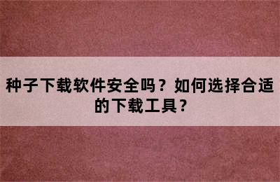 种子下载软件安全吗？如何选择合适的下载工具？