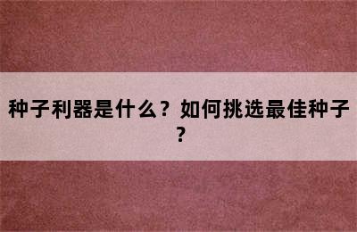 种子利器是什么？如何挑选最佳种子？