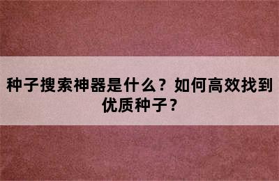 种子搜索神器是什么？如何高效找到优质种子？