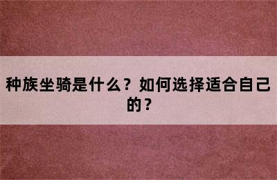 种族坐骑是什么？如何选择适合自己的？