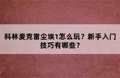 科林麦克雷尘埃1怎么玩？新手入门技巧有哪些？