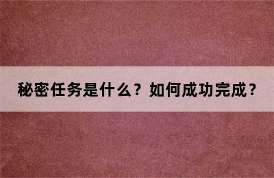 秘密任务是什么？如何成功完成？