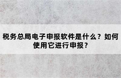 税务总局电子申报软件是什么？如何使用它进行申报？