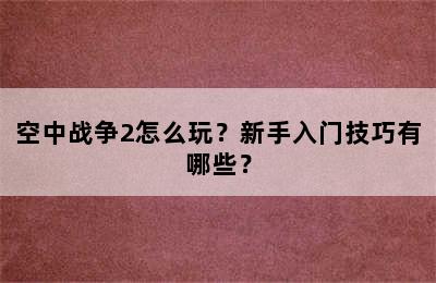 空中战争2怎么玩？新手入门技巧有哪些？