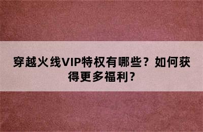 穿越火线VIP特权有哪些？如何获得更多福利？