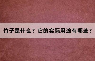 竹子是什么？它的实际用途有哪些？