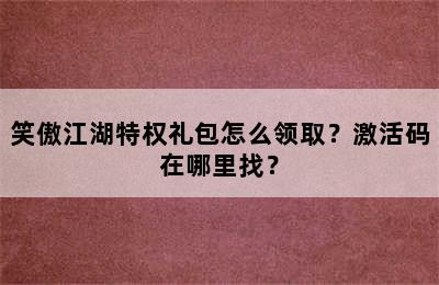 笑傲江湖特权礼包怎么领取？激活码在哪里找？