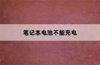 笔记本电池不能充电