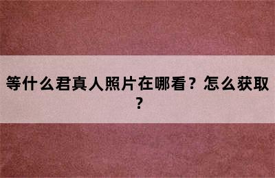 等什么君真人照片在哪看？怎么获取？