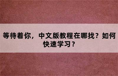 等待着你，中文版教程在哪找？如何快速学习？