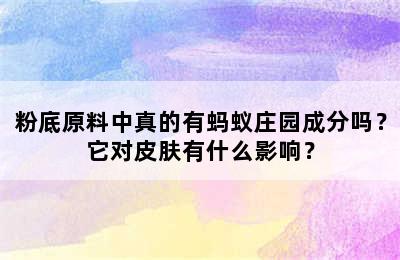 粉底原料中真的有蚂蚁庄园成分吗？它对皮肤有什么影响？