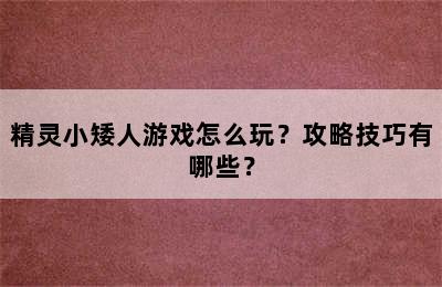 精灵小矮人游戏怎么玩？攻略技巧有哪些？