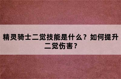 精灵骑士二觉技能是什么？如何提升二觉伤害？