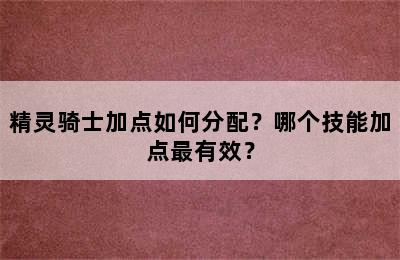 精灵骑士加点如何分配？哪个技能加点最有效？