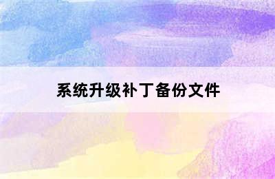 系统升级补丁备份文件