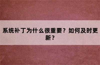 系统补丁为什么很重要？如何及时更新？