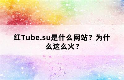 红Tube.su是什么网站？为什么这么火？