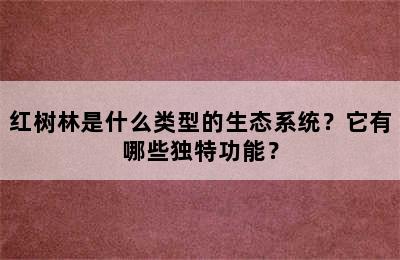 红树林是什么类型的生态系统？它有哪些独特功能？